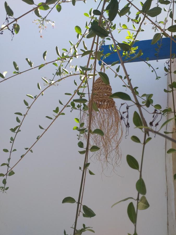 Dar Janis Djerba دار يانيس جربة Apartamento Houmt Souk  Quarto foto