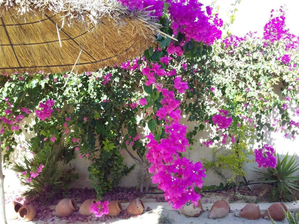 Dar Janis Djerba دار يانيس جربة Apartamento Houmt Souk  Quarto foto